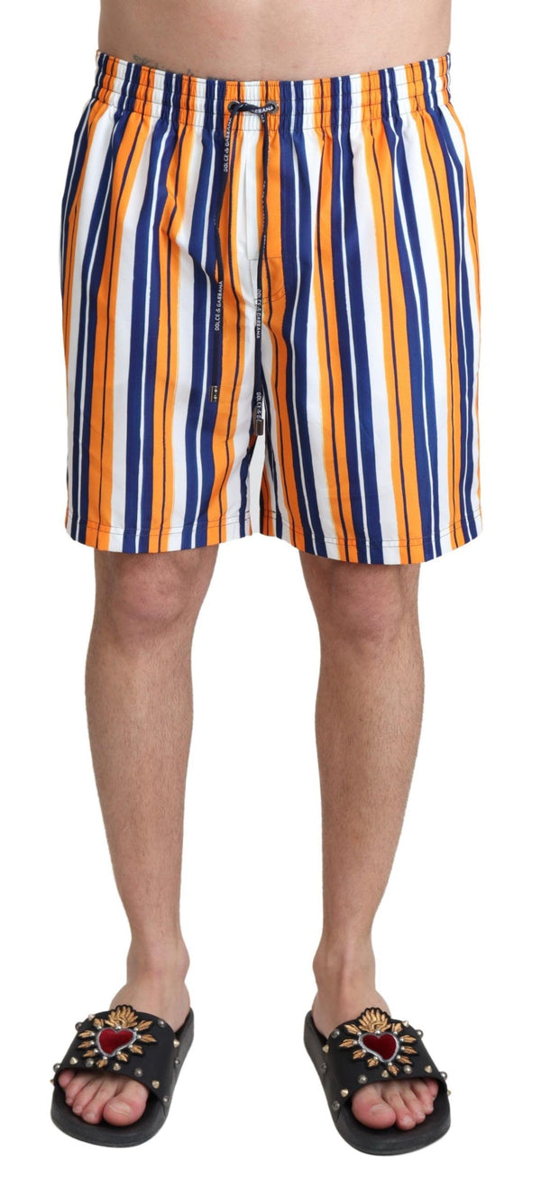 Multicolor Striped Beachwear Swimshorts