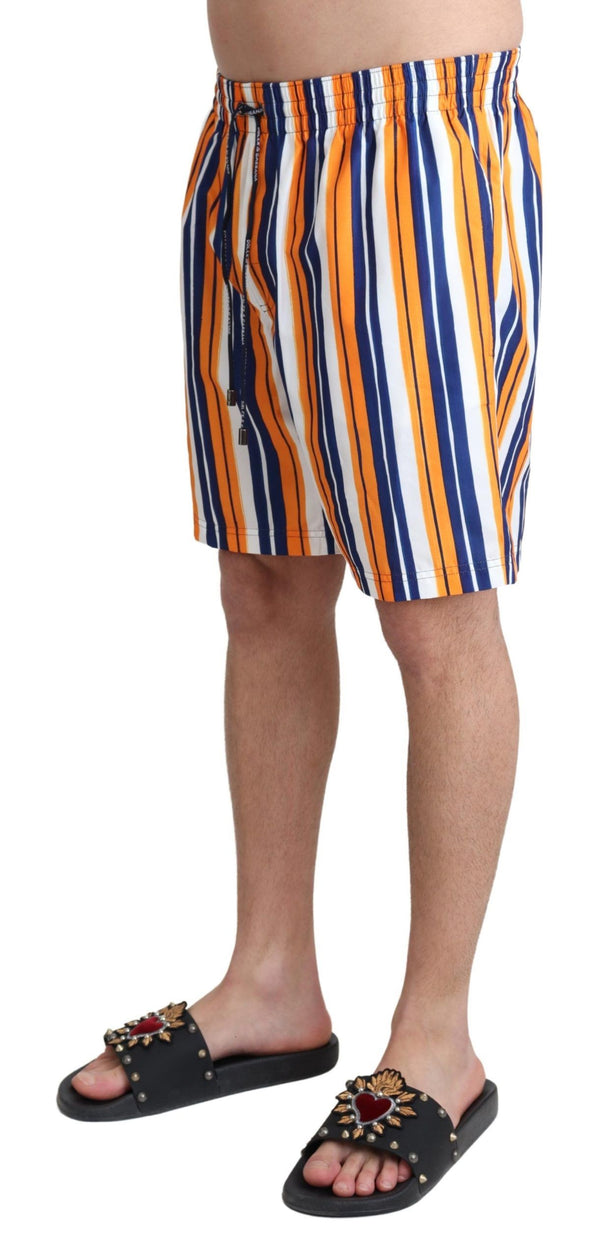 Multicolor Striped Beachwear Swimshorts