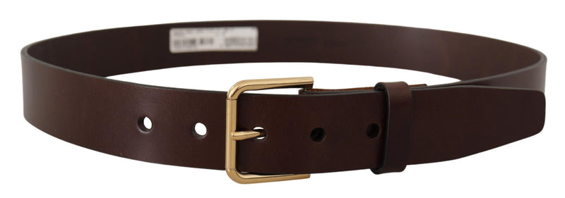 Brown Polished Leather Gold Tone Metal Buckle Belt