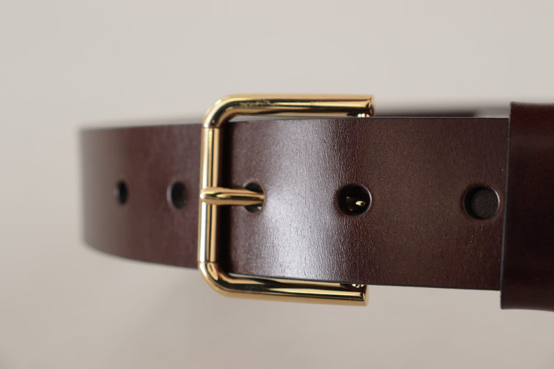 Brown Polished Leather Gold Tone Metal Buckle Belt