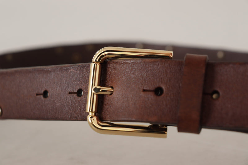 Brown Leather Studded Gold Tone Metal Buckle Belt