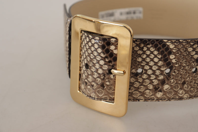 Brown Exotic Wide Waist Leather Gold Metal Buckle Belt