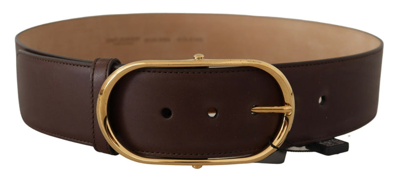 Dark Brown Leather Gold Metal Wide Waist Buckle Belt