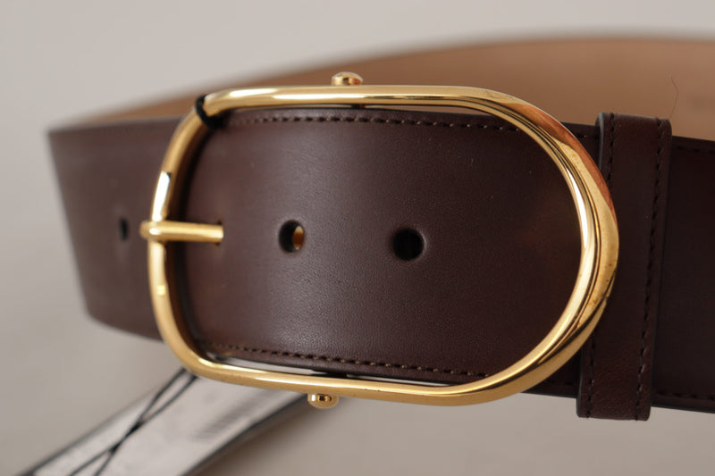 Dark Brown Leather Gold Metal Wide Waist Buckle Belt