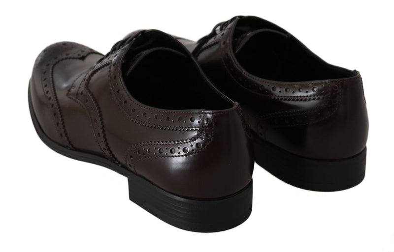 Brown Leather Broques Oxford Wingtip Shoes